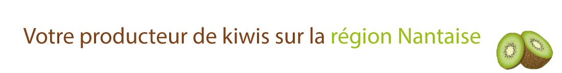 bandeau kiwi la petite louinais nantes frossay 44